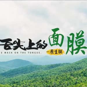 發(fā)酵美肌凈透原生膜