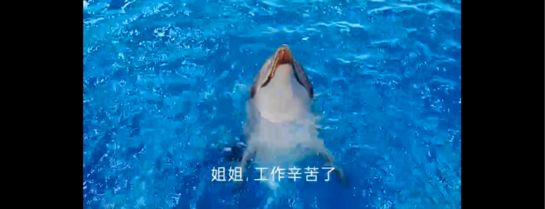 上海十大化妝品代加工廠_廣告宣傳不當(dāng)引爭議 上海十大化妝品代加工廠_廣告宣傳不當(dāng)引爭議