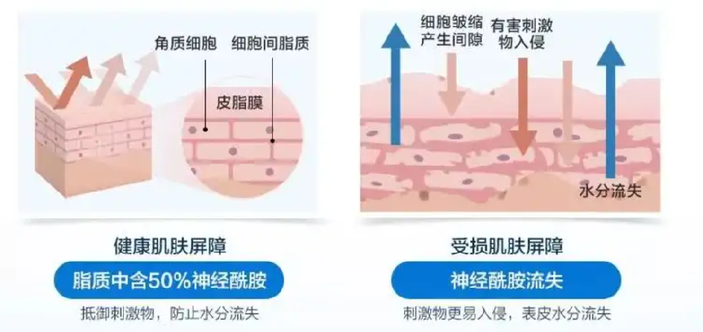 芯品速遞 | ops積雪草水漾安膚霜