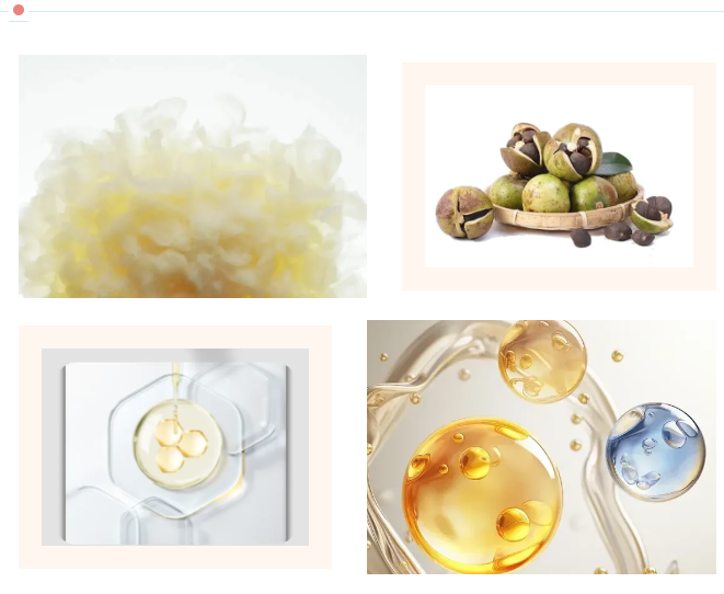 1721629907541292.png image.png