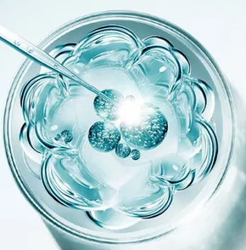 1723774356680343.png 微信圖片_20240816101015.png