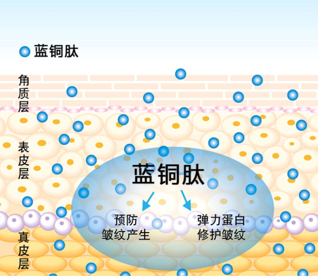 1551681595296833.jpg 640 (6).jpg