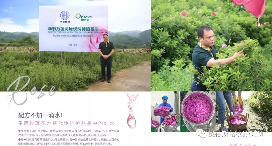 1557822910304061.jpg 5.jpg