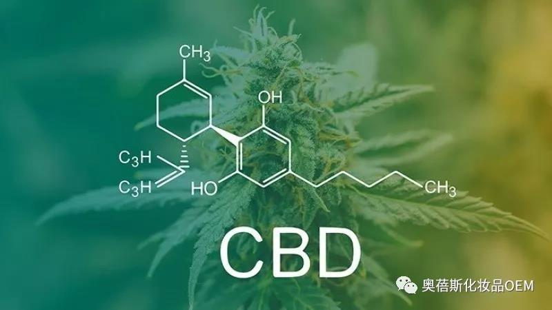 1564623263119569.jpg 3.jpg