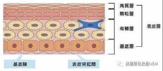 1565592946506893.jpg 3.jpg