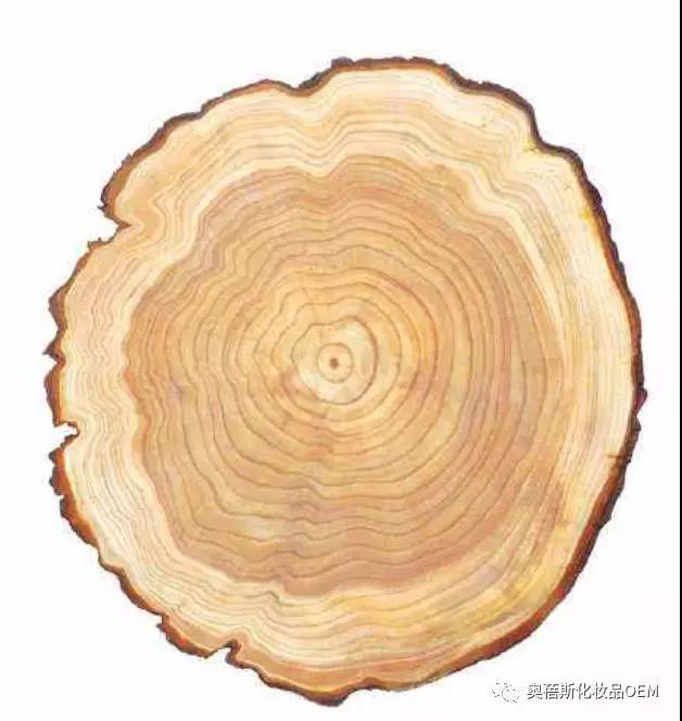 1566786857665209.jpg 4.jpg