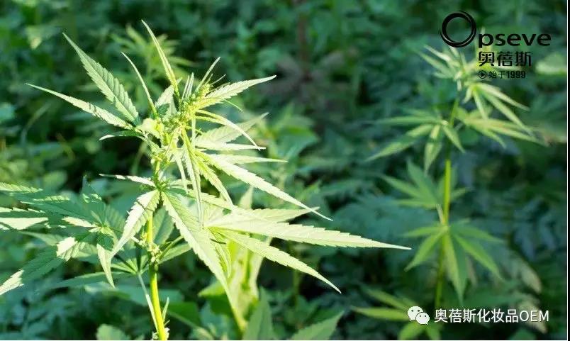 1568944360918728.jpg 2.jpg