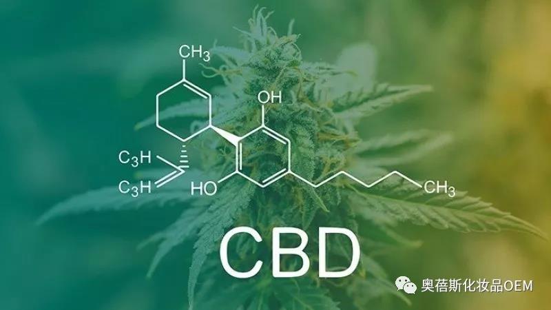 1568944369824865.jpg 3.jpg