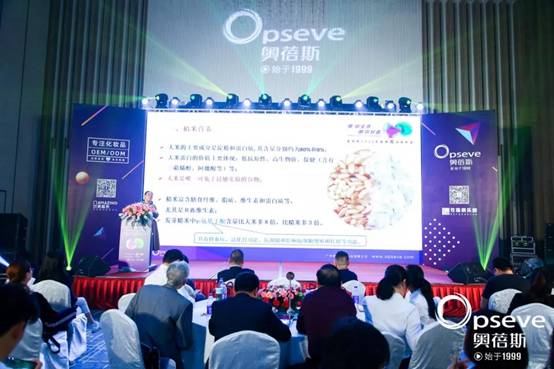 1575000381922541.jpg 24.jpg