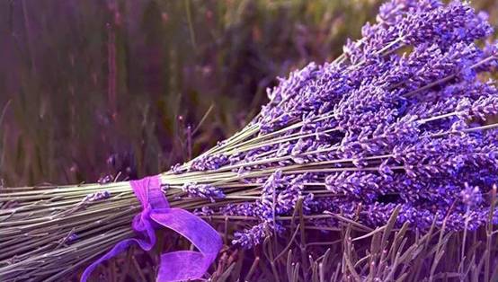 1575519440385733.jpg 7.jpg