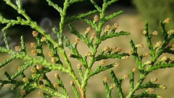 1575519450219970.jpg 8.jpg