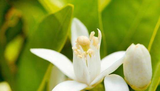 1575519458252130.jpg 9.jpg