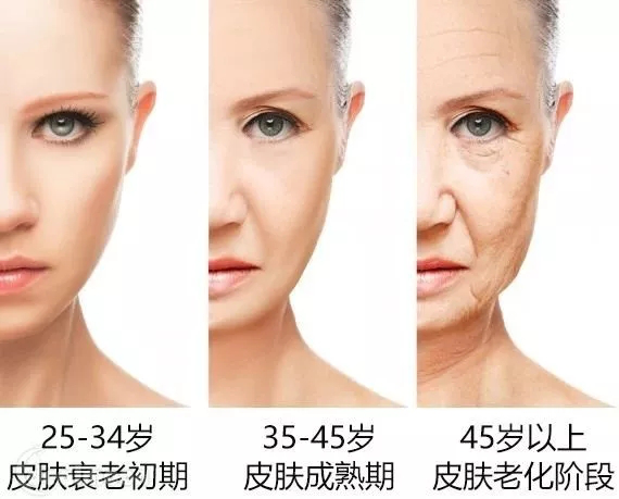 皮膚抗老時(shí)間年齡表