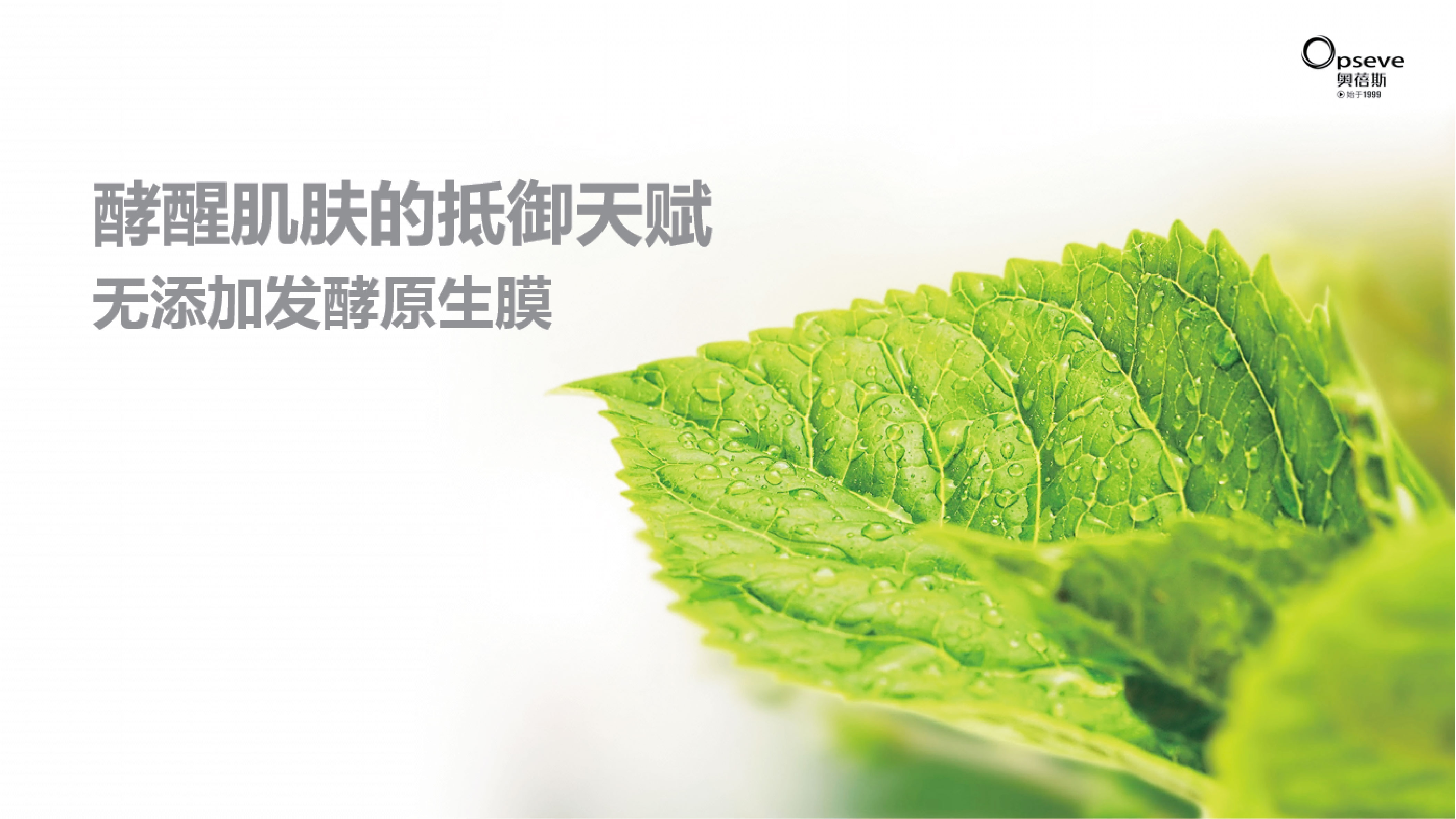 原生膜讓您和概念添加說拜拜