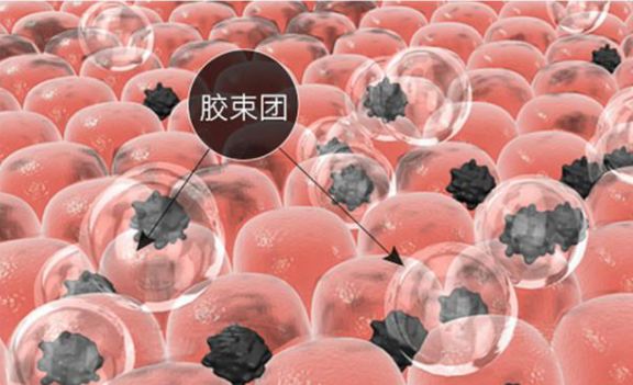 1615041183513307.jpg 微信圖片_20210306223043.jpg