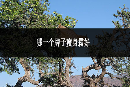 哪一個牌子瘦身霜好