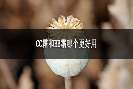 CC霜和BB霜哪個(gè)更好用 CC霜和BB霜哪個(gè)更好用
