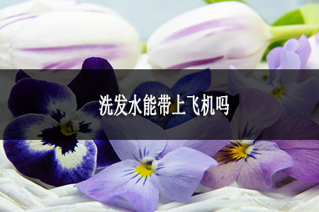 洗發(fā)水能帶上飛機(jī)嗎