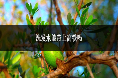 洗發(fā)水能帶上高鐵嗎