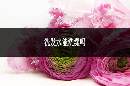 洗發(fā)水能洗澡嗎 洗發(fā)水能洗澡嗎