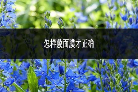 怎樣敷面膜才正確