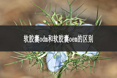 軟膠囊odm和軟膠囊oem的區(qū)別 軟膠囊odm和軟膠囊oem的區(qū)別