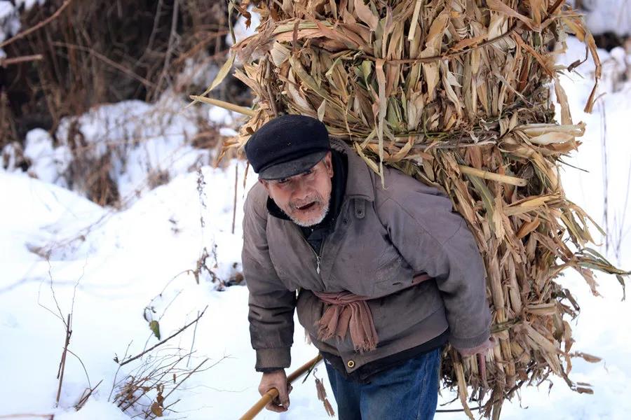 1635929470776743.jpg 微信圖片_20211103165040.jpg